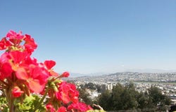Quito - Apartment building- great investment! Francisco de la Pita y 1era. Transversal, Quito, Pichincha