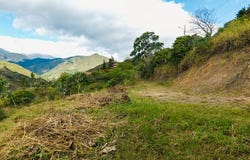 Land with Great Potential and Natural Surroundings in San José, Vilcabamba, San José, Loja