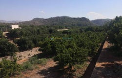 Oliva, Valencian Community 46780
