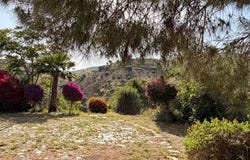 Almogía, Andalusia 29150