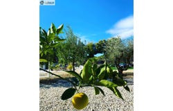 Mutxamel, Valencian Community 03110