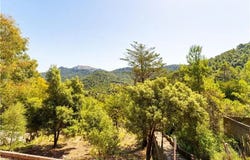 Selva, Balearic Islands 07314