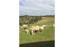 Valverde del Camino, Andalusia 21600