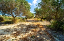 Benissa, Valencian Community 03720