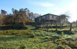 As Neves, Galicia 36440