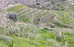 Torrox, Andalusia