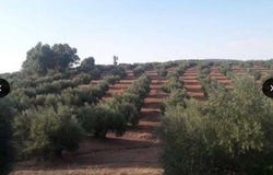 Badajoz, Extremadura