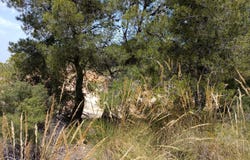 Vilamarxant, Valencian Community