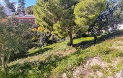 Dénia, Valencian Community 03700