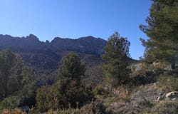 Jalón, Valencian Community 03727