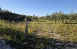 Bèlgida, Valencian Community 46868