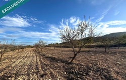 Monovar, Valencian Community 03640