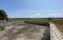 P2P7+63, Llubí, Balearic Islands 07420