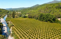 Gaucín, Andalusia 29480
