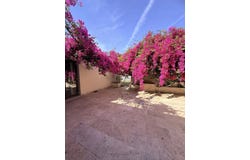 Cancelada, Andalusia 29688