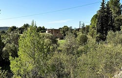Puigpunyent, Balearic Islands 07195