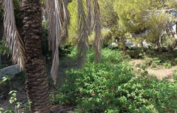 Cabo Roig, Valencian Community 03189