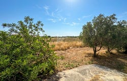Teulada, Valencian Community 03724