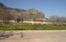 Verger (el), Valencian Community