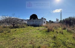 Vinaros, Valencian Community 12500