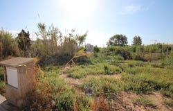 Oliva, Valencian Community 46780