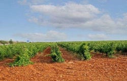 Badajoz, Extremadura