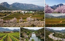 Jalón, Alicante 03727