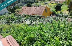 Santa Brigida, Canary Islands 35307