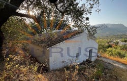 Alcaucín, Andalusia 29711