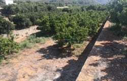 Oliva, Valencian Community 46780