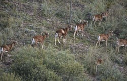 Cambil, Andalusia
