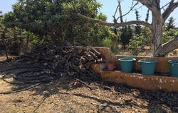 Cancelada, Andalucía