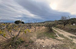 Onil, Valencia 03430