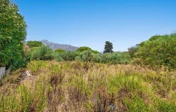 Marbella, Andalucía