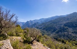 Soller, Balearic Islands 07100