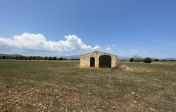 P2P7+63, Llubí, Balearic Islands 07420