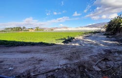 Motril, Andalusia 18600