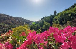 Torrox, Andalusia 29770