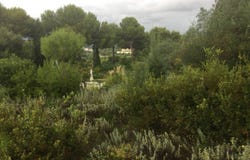 Sotogrande, Andalusia 11310