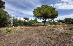 Marbella, Andalusia 29600