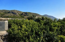 L'Atzúbia, Valencian Community 03786
