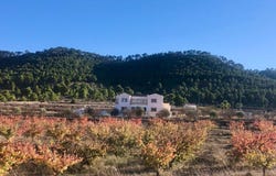 Encebras, Valencian Community