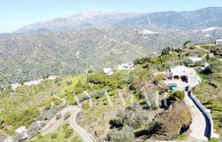 Sayalonga, Andalusia 29752