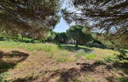 Sotogrande, Andalusia 11310