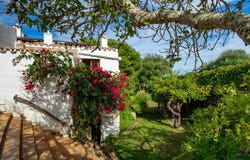 Es Castell, The Balearic Islands 07720