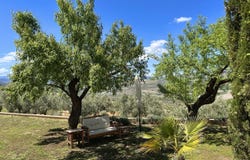 Cortijo de las Rozas, Santa Cruz del Comercio, Andalusia Arenas del