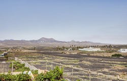 Teguise, Canary Islands 35530
