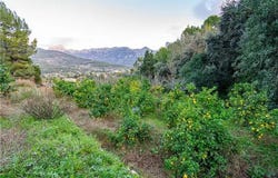 Sóller, Balearic Islands 07100