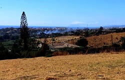 Estepona, Andalusia