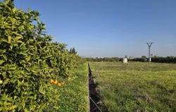 Rafelcofer, Valencian Community 46716